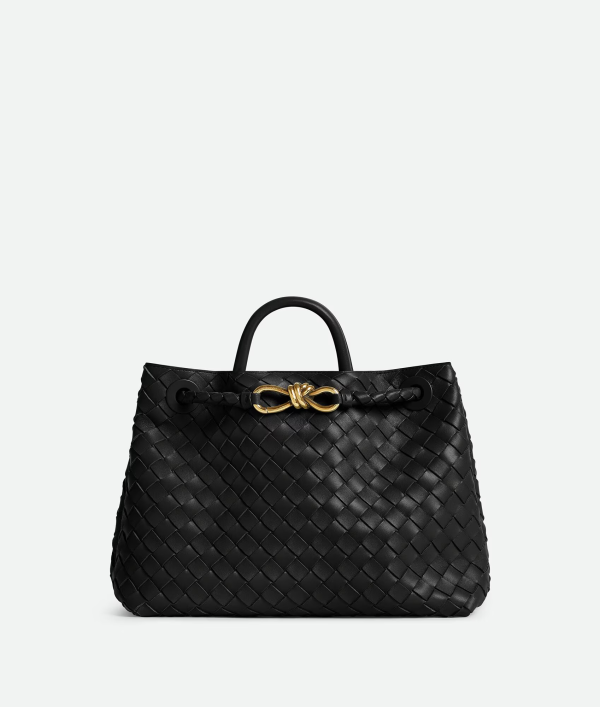 BOTTEGA VENETA Medium Andiamo 1