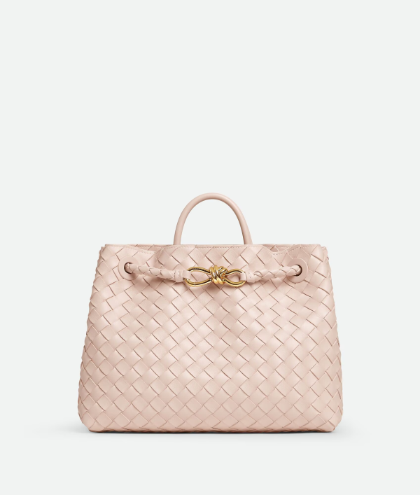 BOTTEGA VENETA Medium Andiamo 2