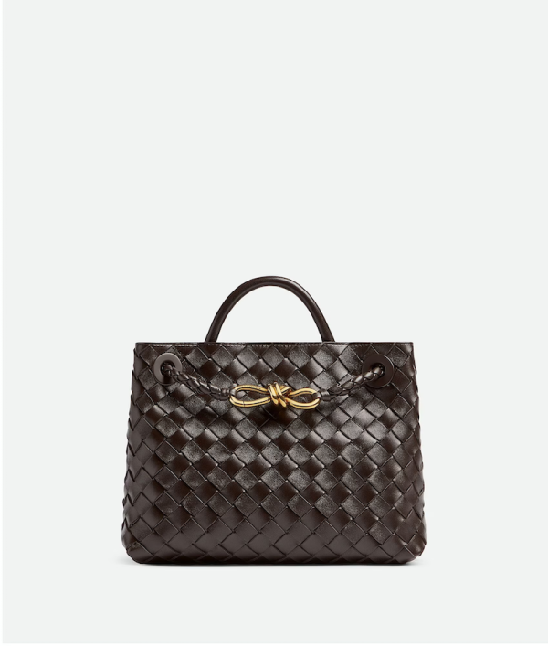 BOTTEGA VENETA Small Andiamo 10
