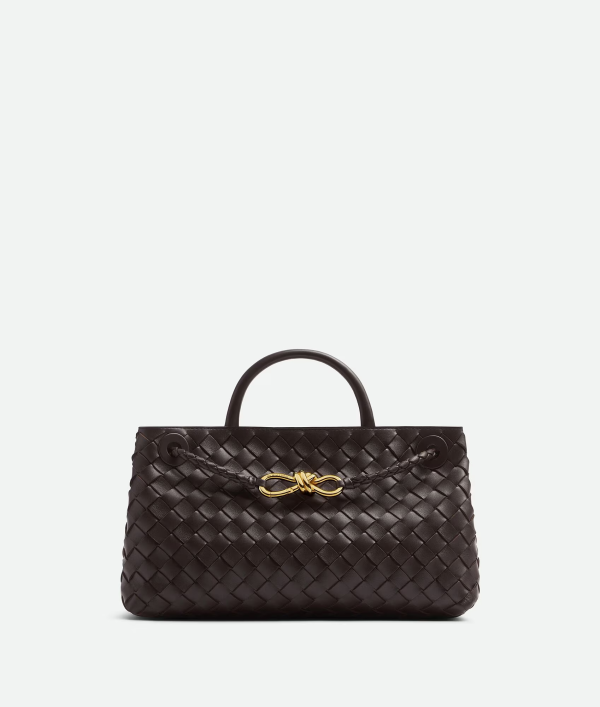 BOTTEGA VENETA East-West Andiamo 4