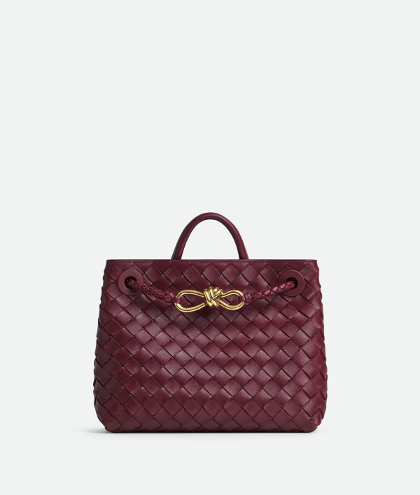 BOTTEGA VENETA Small Andiamo 6