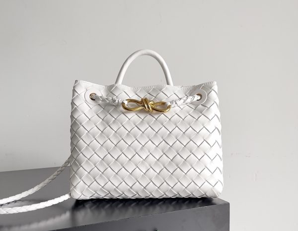 BOTTEGA VENETA Small Andiamo 2